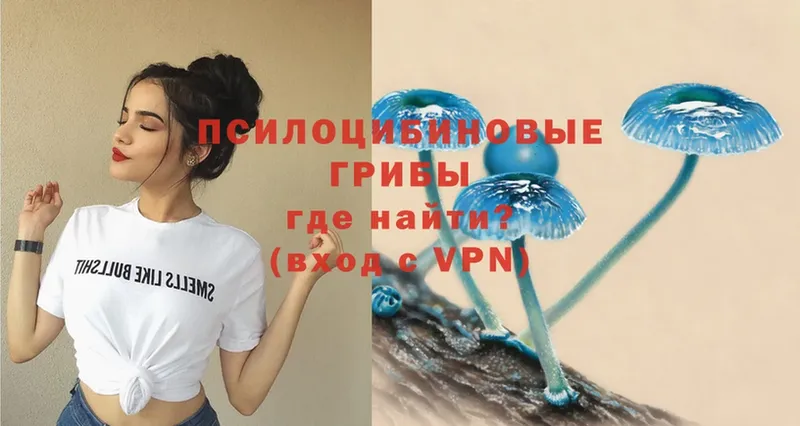 магазин    Бирск  Галлюциногенные грибы Psilocybe 